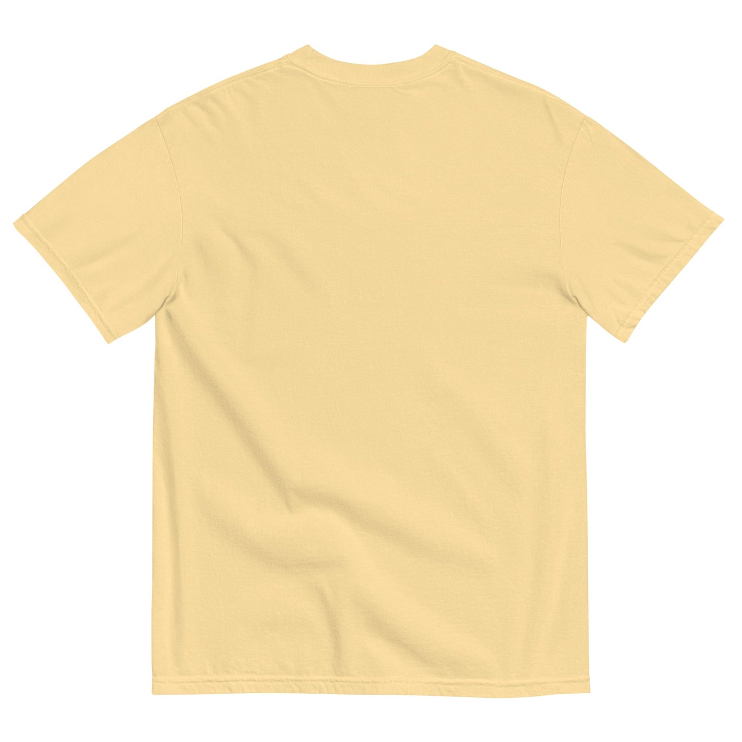 Unisex garment - dyed heavyweight t-shirt - Big Far Designs