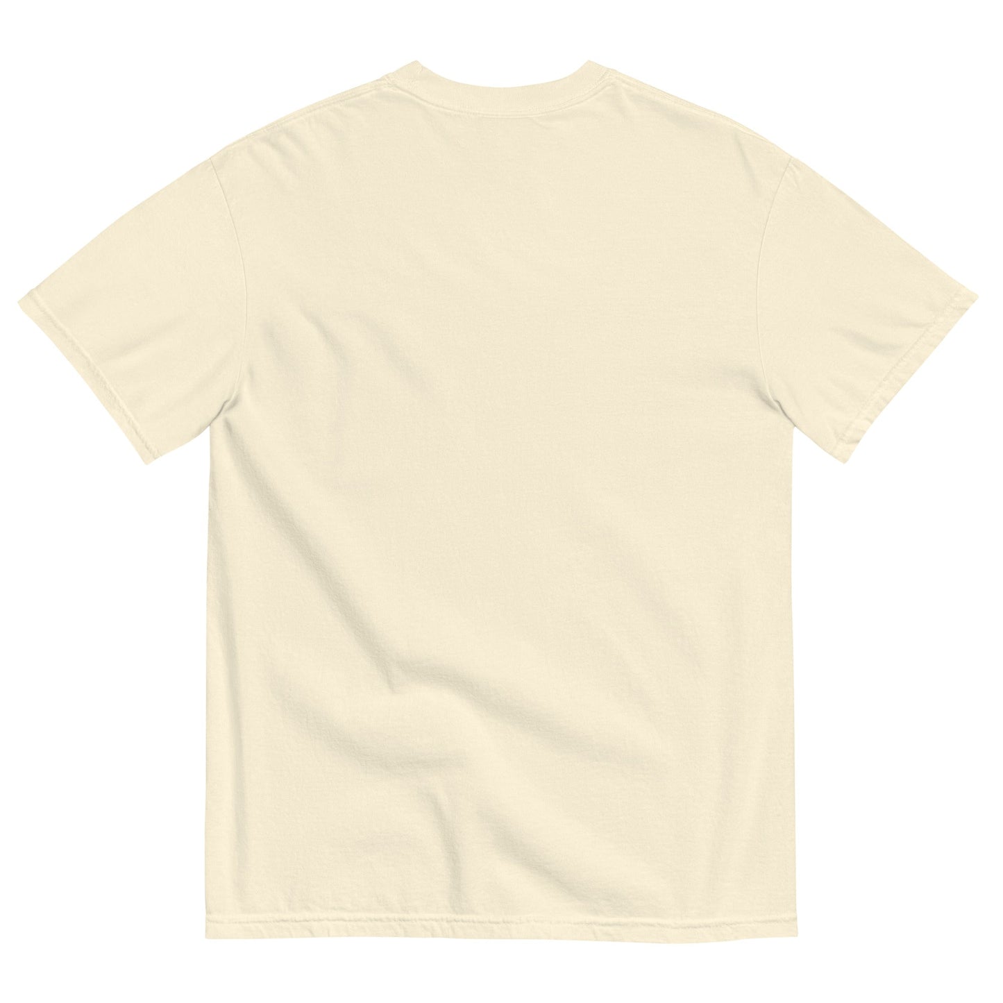 Unisex garment - dyed heavyweight t-shirt - Big Far Designs