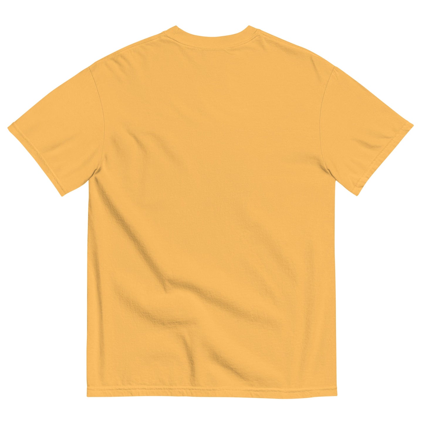 Unisex garment - dyed heavyweight t-shirt - Big Far Designs